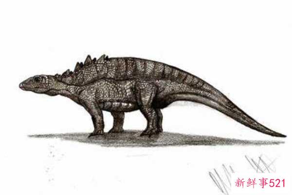 辽宁龙-中国超小型甲龙(化石仅34厘米长)