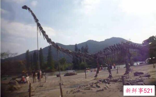 春雷龙-北美的一种大型食草恐龙(15米长-1.5亿年前)