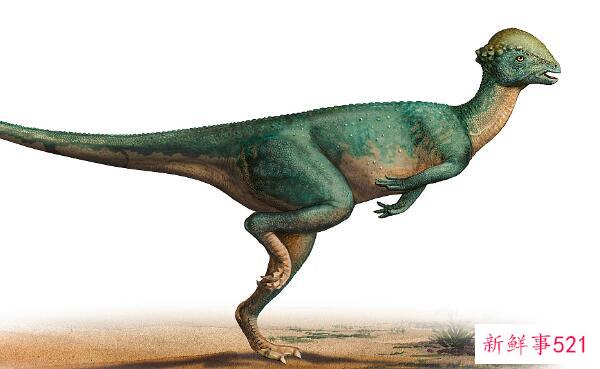 春雷龙-北美的一种大型食草恐龙(15米长-1.5亿年前)