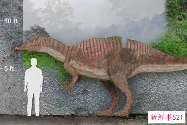 猎鱼龙-老挝的大型恐龙(9米长-亚洲最完整的棘龙科)