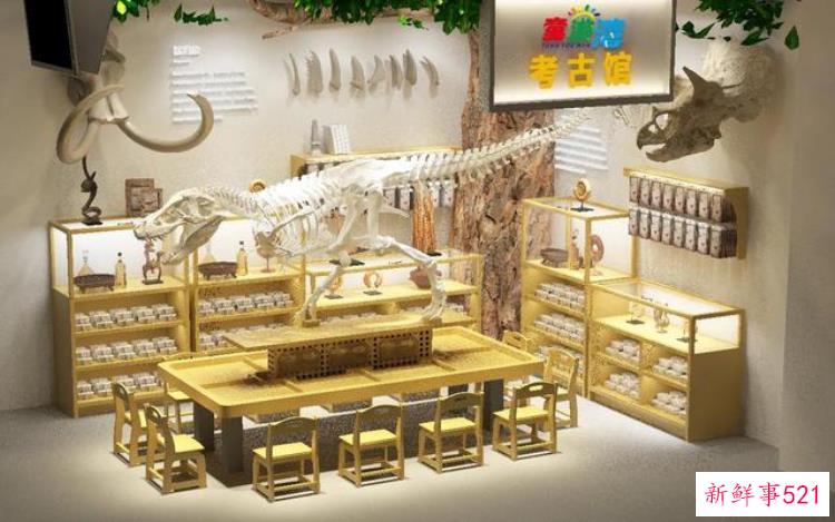 恐龙化石考古玩具，恐龙化石考古
