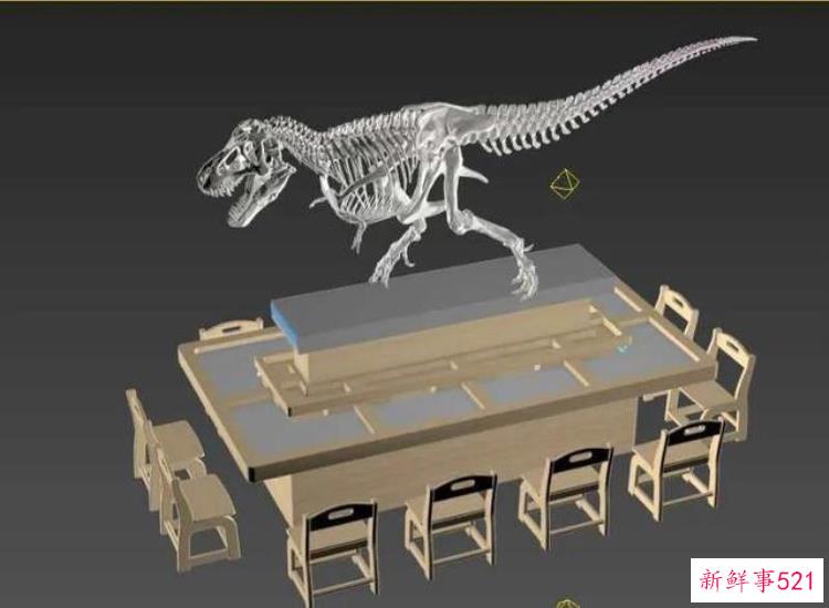 恐龙化石考古玩具，恐龙化石考古