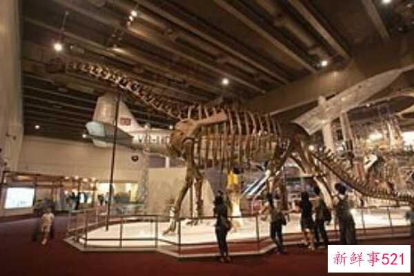 查干诺尔龙-内蒙古超级巨型恐龙(26米长-4层楼高)