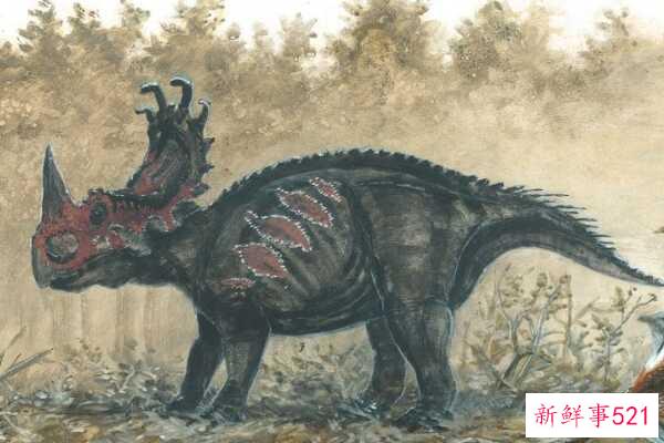 中国角鼻龙-山东大型恐龙(7米长-颈盾似皇冠)