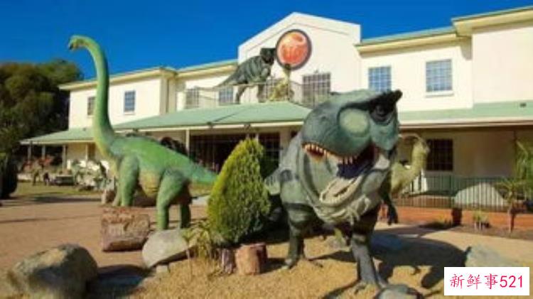 中国有哪些博物馆有恐龙化石，国内恐龙化石展览馆