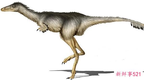 副栉龙-加拿大的一种大型食草恐龙(10米长-6500万年前)