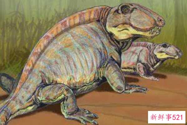 原始蜥脚类动物-一种古老的二叠纪盘龙生物(形似巨型蜥蜴-1米长)