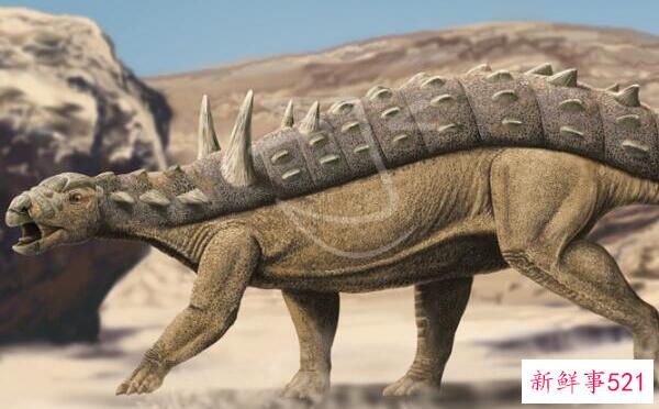 查莫斯龙-欧洲的一种小型食草恐龙(2米长-6500万年前)