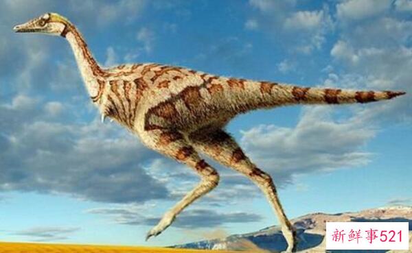 副栉龙-加拿大的一种大型食草恐龙(10米长-6500万年前)