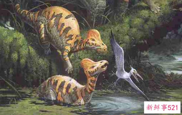 头盔龙-北美的一种大型食草恐龙(9米长-7200万年前)