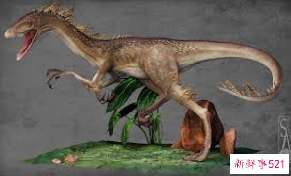 西伯利亚泰坦-欧洲巨型食草恐龙(长12米 重约10吨)