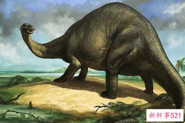 黑色蜥脚类动物-南非巨型恐龙(12米长-三角形头骨)