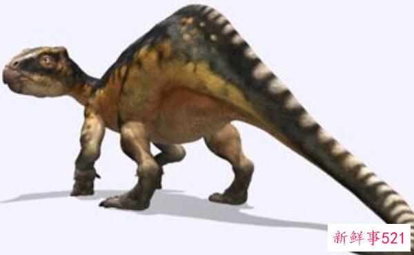 鹈鹕状龙-西班牙的一种小型食肉恐龙(长2.5米-1亿年前)