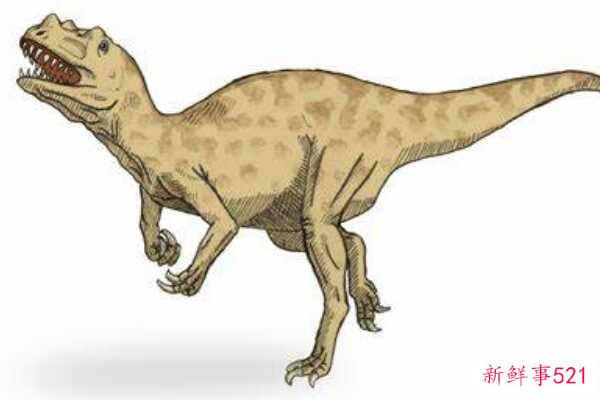冠鼻龙-一种大型食肉恐龙(5-6米长-鼻子上有一个小皇冠)