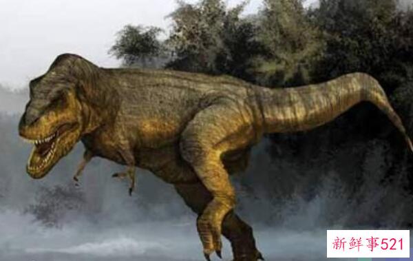山东龙-中国大型食草恐龙(15米长-7300万年前)