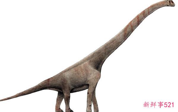 西伯利亚泰坦-欧洲巨型食草恐龙(长12米 重约10吨)