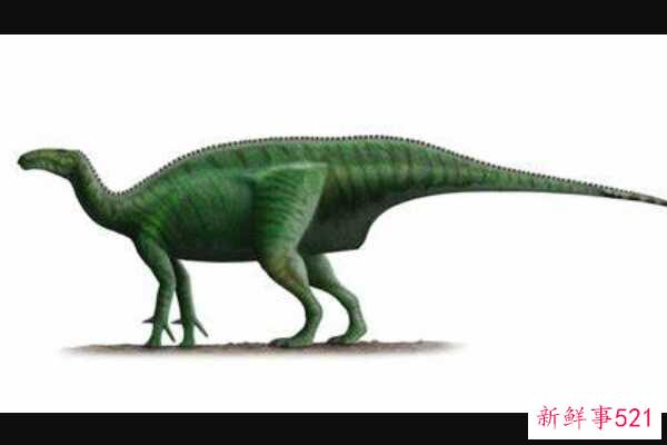 黑色蜥脚类动物-南非巨型恐龙(12米长-三角形头骨)
