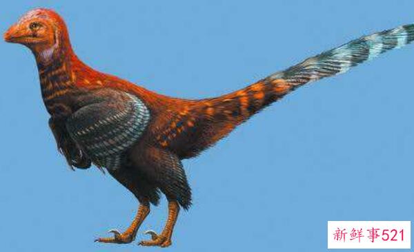 查莫斯龙-欧洲的一种小型食草恐龙(2米长-6500万年前)
