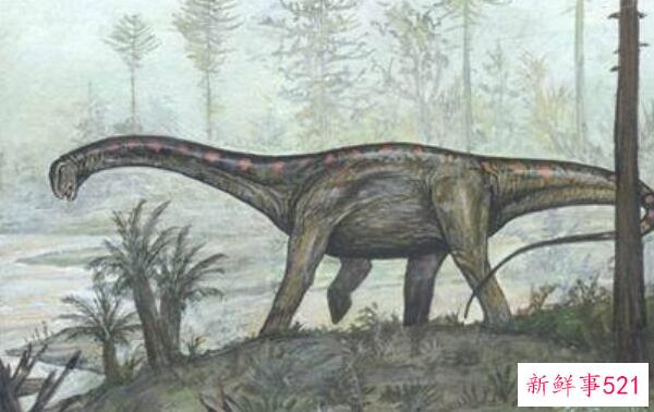 洛卡龙-阿根廷的一种大型食草恐龙(8米长-8000万年前)