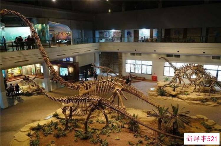 中国有哪些博物馆有恐龙化石，国内恐龙化石展览馆