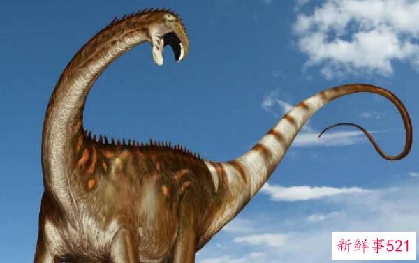 甲龙齿龙-阿根廷的一种大型食肉恐龙(8米长-7000万年前)