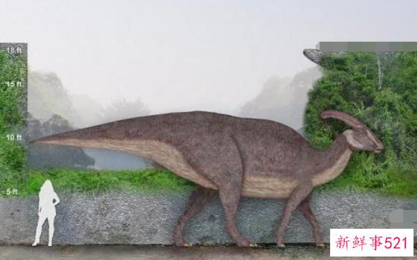 卡龙龙-黑龙江的一种大型食草恐龙(6米长-6500万年前)