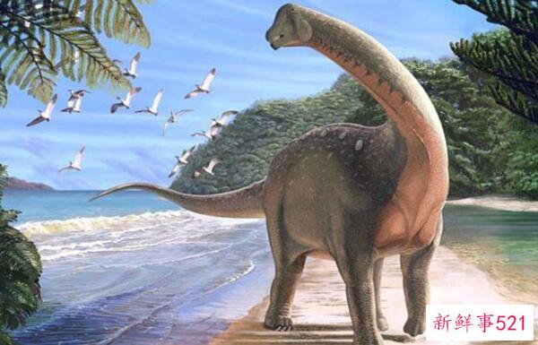 温顿龙-澳大利亚最大的恐龙之一(16米长-1亿年前)