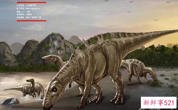天真龙-山东的一种小型食草恐龙(4米长-9000万年前)