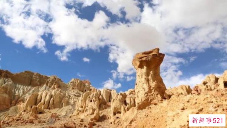 西藏考古发现大型石阵专家与高原游牧人群密切相关