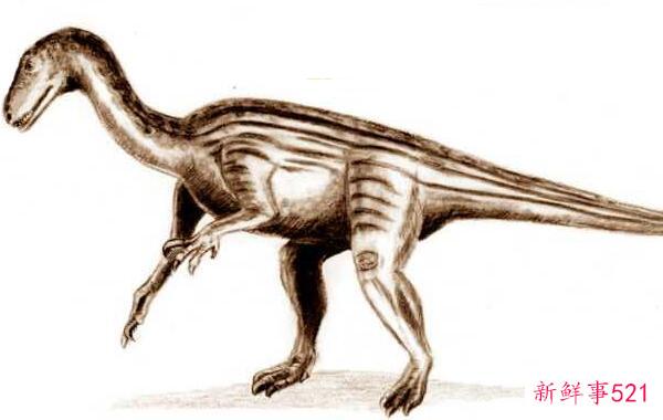 陶龙-美国的一种大型食草恐龙(6米长-1亿年前)