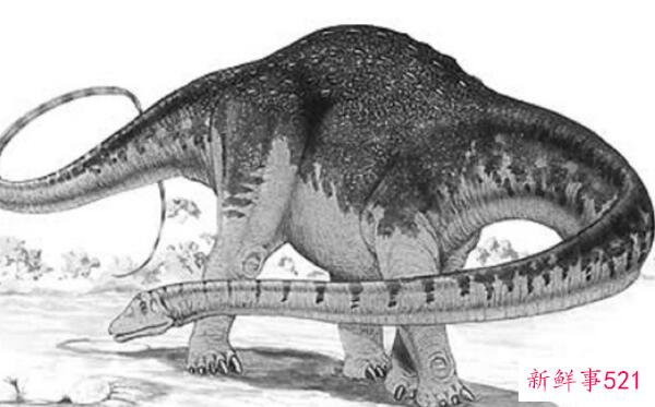 九条龙-阿根廷的小型食肉恐龙(1米长-9000万年前)
