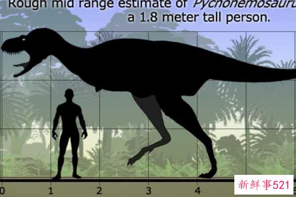 原角龙-一种小型英国恐龙(3米长-最原始的腕龙)