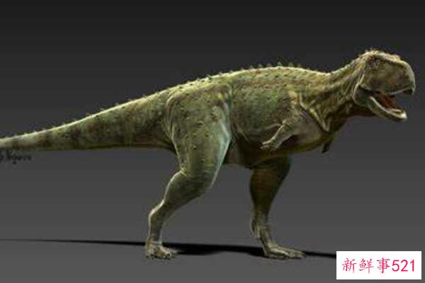原角龙-一种小型英国恐龙(3米长-最原始的腕龙)