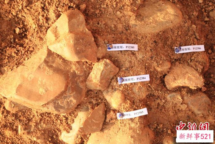 洛南夜塬遗址第36层发现的石制品。　陕西省考古研究院供图
