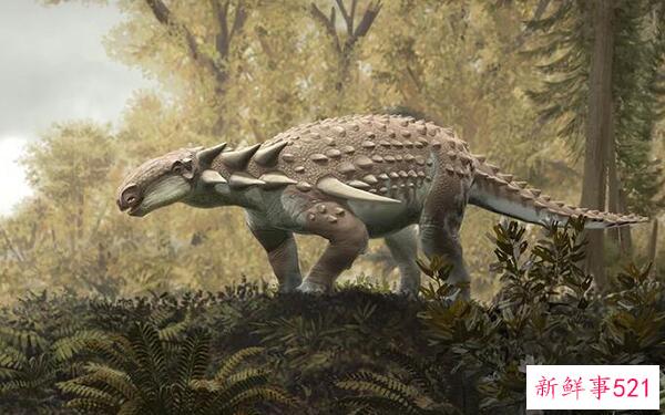 安龙-欧洲大型食草恐龙(6.5米长-2.08亿年前)