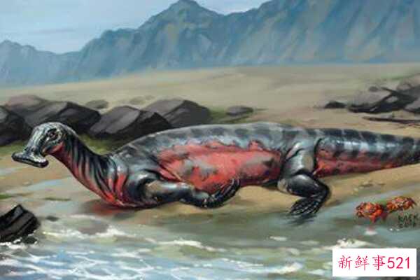 澳大利亚棘龙-澳大利亚出土的第一个棘龙科物种(9米长-疑似恐龙)