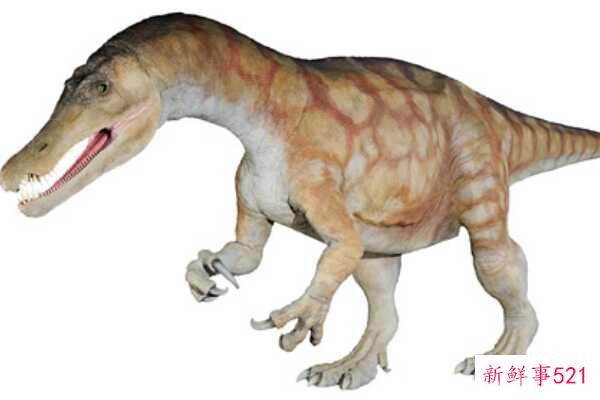 澳大利亚棘龙-澳大利亚出土的第一个棘龙科物种(9米长-疑似恐龙)