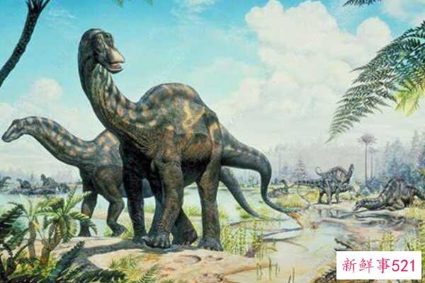 巴西龙-一种小型西班牙恐龙(4-5米长-有突出的头冠)