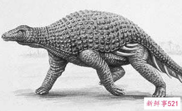 安龙-欧洲大型食草恐龙(6.5米长-2.08亿年前)