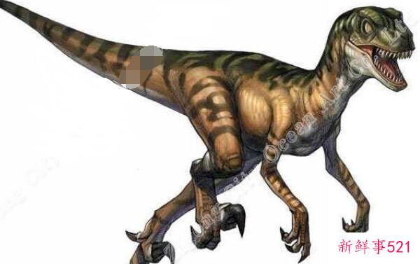 迅猛龙-侏罗纪公园里的小恐龙(2米长-8000万年前)