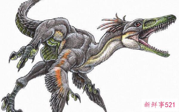 Uqueluolong-阿根廷的一种小型食肉恐龙(3米长-7000万年前)