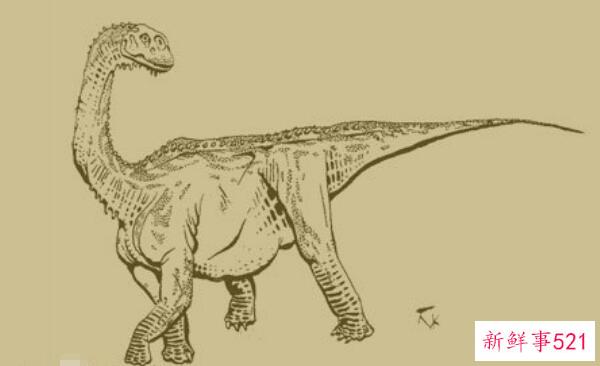 巴塔哥尼亚龙-阿根廷的超级巨型恐龙(20米长-1.63亿年前)