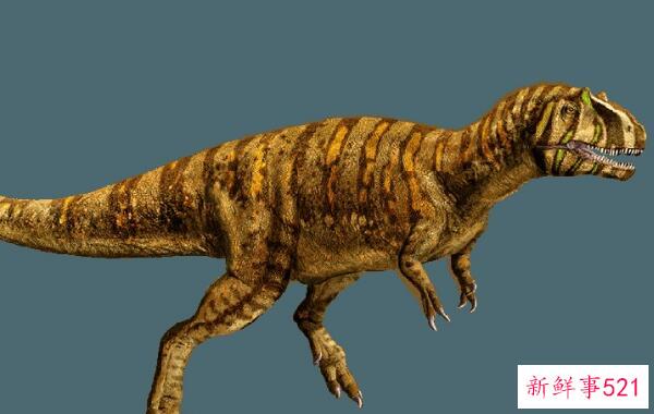 迅猛龙-侏罗纪公园里的小恐龙(2米长-8000万年前)