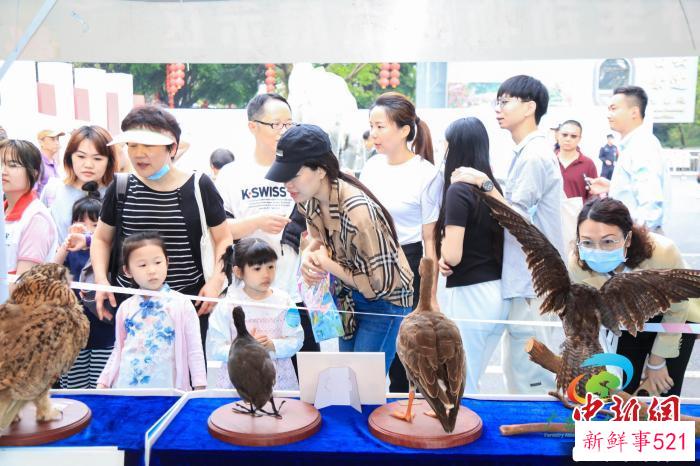 民众观看野生动物标本 广东省林业局 供图