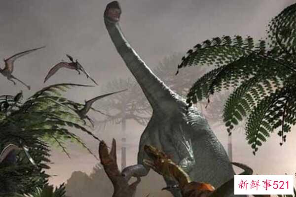 石龙-最后一种食草蜥脚类恐龙(18米长-短颈)