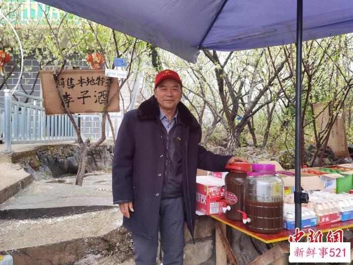 图为杨举昌老人在家门口的李花树下售卖头一年酿制的李子果酒。　周燕玲 摄