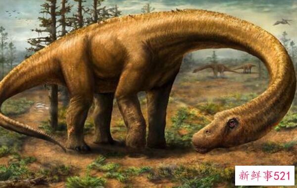 巴塔哥尼亚龙-阿根廷的超级巨型恐龙(20米长-1.63亿年前)