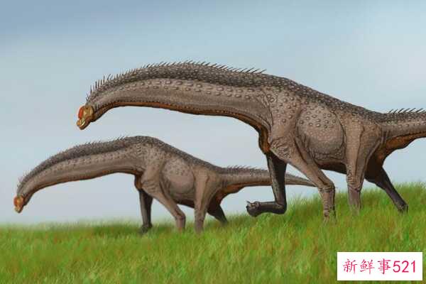 石龙-最后一种食草蜥脚类恐龙(18米长-短颈)