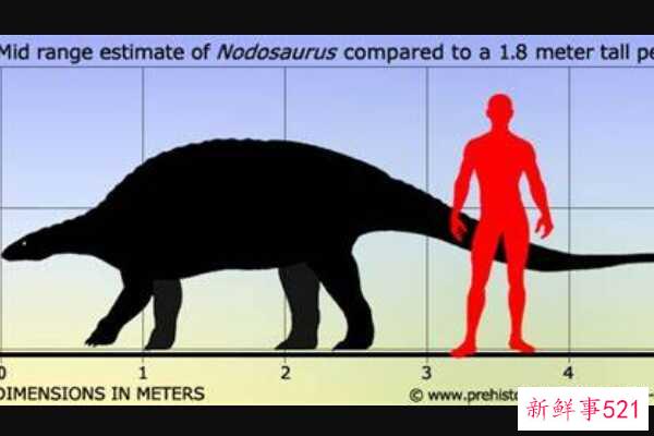Nodulosaurus-北美的一种中型恐龙(有层状板甲-没有尾锤)