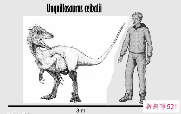 Uqueluolong-阿根廷的一种小型食肉恐龙(3米长-7000万年前)